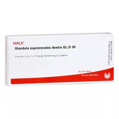 GLANDULA SUPRARENALES dextra GL D 30 ampuller, 10X1 ml