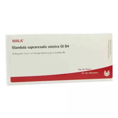 GLANDULA SUPRARENALIS sinistra GL D 4 ampuller, 10X1 ml GLANDULA SUPRARENALIS sinistra GL D 4 ampuller, 10X1 ml