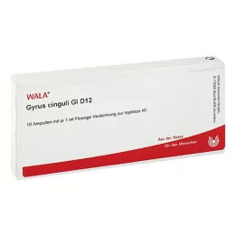 GYRUS cinguli GL D 12 ampuller, 10X1 ml