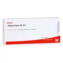 HIPPOCAMPUS GL D 6 ampuller, 10X1 ml