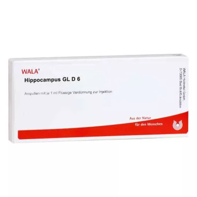 HIPPOCAMPUS GL D 6 ampuller, 10X1 ml