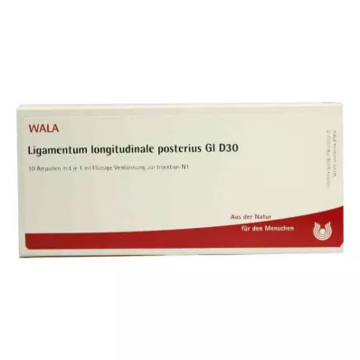 LIGAMENTUM LONGITUDINALE posterius GL D 30 amp, 10X1 ml