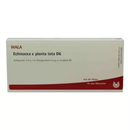 ECHINACEA E planta tota D 6 ampuller, 10X1 ml