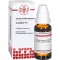 GRAPHITES D 6 fortynding, 20 ml