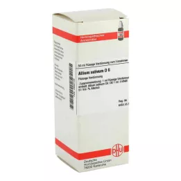 ALLIUM SATIVUM D 6 fortynding, 50 ml