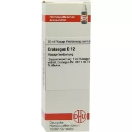 CRATAEGUS D 12 fortynding, 20 ml