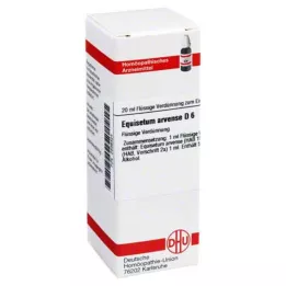 EQUISETUM ARVENSE D 6 fortynding, 20 ml