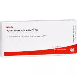 ARTERIA CEREBRI medier GL D 6 ampuller, 10X1 ml