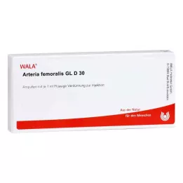 ARTERIA FEMORALIS GL D 30 ampuller, 10X1 ml
