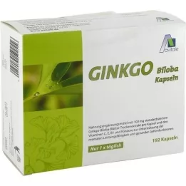 GINKGO 100 mg kapsler+B1+C+E, 192 stk