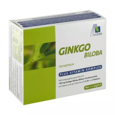 GINKGO 100 mg kapsler+B1+C+E, 192 stk