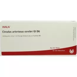 CIRCULUS arteriosus cerebri GL D 6 ampuller, 10X1 ml