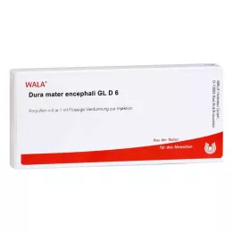 DURA MATER encephali GL D 6 ampuller, 10X1 ml