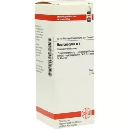 HAPLOPAPPUS D 6 fortynding, 50 ml