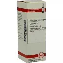 LEDUM D 12 fortynding, 20 ml