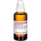 RHODODENDRON D 6 fortynding, 50 ml