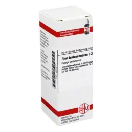 RHUS TOXICODENDRON C 30 fortynding, 20 ml