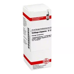 SOLIDAGO VIRGAUREA D 12 fortynding, 20 ml