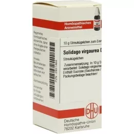 SOLIDAGO VIRGAUREA D 3 kugler, 10 g