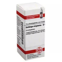 SOLIDAGO VIRGAUREA D 6 kugler, 10 g