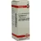 SYMPHYTUM D 12 fortynding, 20 ml