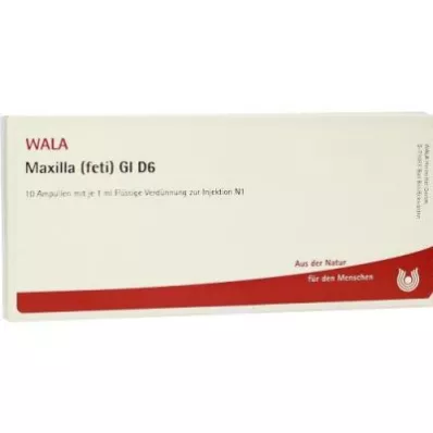 MAXILLA feti GL D 6 ampuller, 10X1 ml MAXILLA feti GL D 6 ampuller, 10X1 ml