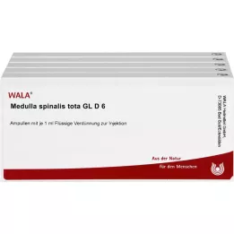 MEDULLA SPINALIS tota GL D 6 ampuller, 50X1 ml