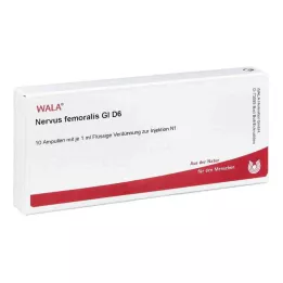 NERVUS FEMORALIS GL D 6 ampuller, 10X1 ml