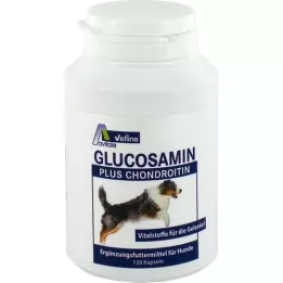 GLUCOSAMIN+CHONDROITIN Kapsler til hunde, 120 stk