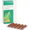 LECITHIN KAPSELN biolog.alsitan, 60 stk