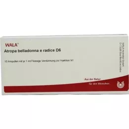 ATROPA belladonna e Radix D 6 ampuller, 10X1 ml