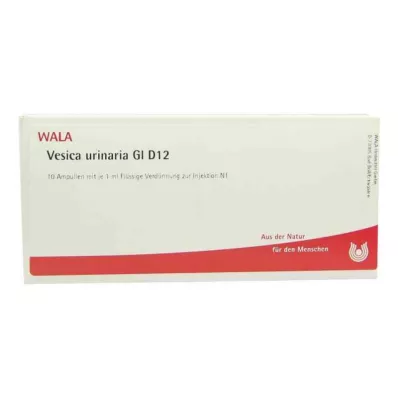 Vesica Urinaria Gl D12 ampuller (10x1 ml)