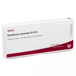 MEMBRANA synovialis GL D 12 ampuller, 10X1 ml