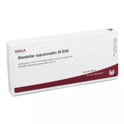 Glandulae suprarenalis GL D 30 ampuller, 10X1 ml