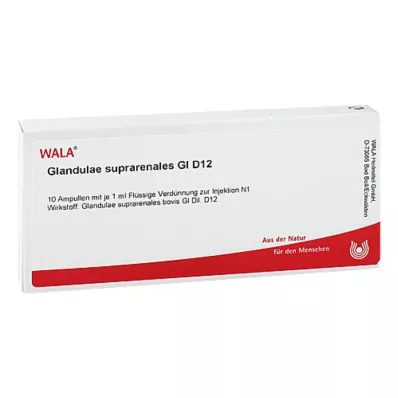 Glandulae suprarenalis GL D 12 ampuller, 10X1 ml
