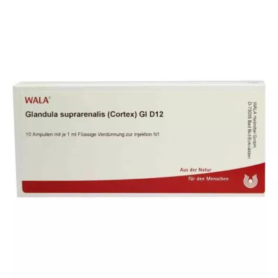 Suprarenal kirtel.Cort.Gl D12 ampuller (10x1 ml) Suprarenal kirtel.Cort.Gl D12 ampuller (10x1 ml)