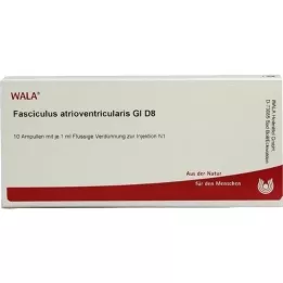 FASCICULUS atrioventricularis GL D 8 ampuller, 10X1 ml