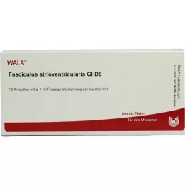 FASCICULUS atrioventricularis GL D 8 ampuller, 10X1 ml