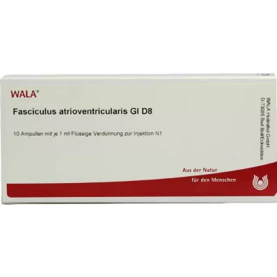 FASCICULUS atrioventricularis GL D 8 ampuller, 10X1 ml
