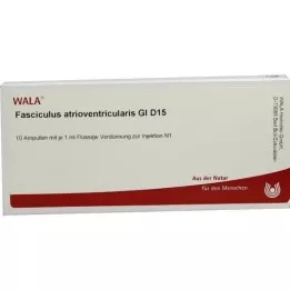 FASCICULUS atrioventricularis GL D 15 ampuller, 10X1 ml