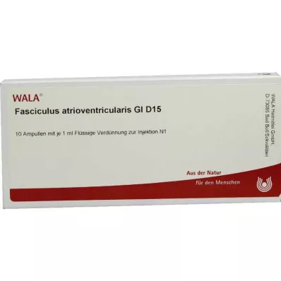FASCICULUS atrioventricularis GL D 15 ampuller, 10X1 ml