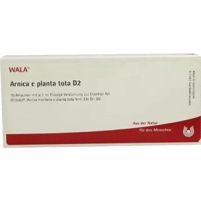 ARNICA E Planta tota D 2 ampuller, 10X1 ml