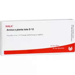 ARNICA E Planta tota D 12 ampuller, 10X1 ml