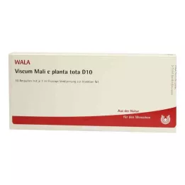 VISCUM MALI e planta tota D 10 ampuller, 10X1 ml