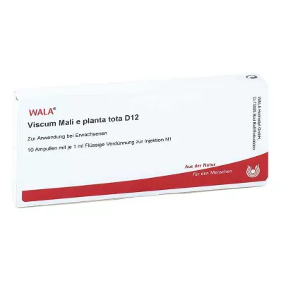 VISCUM MALI e planta tota D 12 ampuller, 10X1 ml