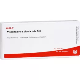 VISCUM PINI e planta tota D 6 ampuller, 10X1 ml