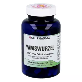 YAMSWURZEL 500 mg GPH kapsler, 120 kapsler