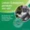 SOLEDUM Flydende balsam, 50 ml