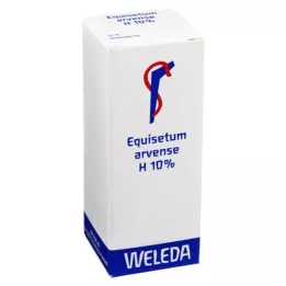 EQUISETUM ARVENSE H 10% olieholdigt liniment, 50 ml