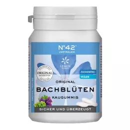 SELBSTVERTRAUEN Tyggegummi efter Dr. Bach, 40 stk